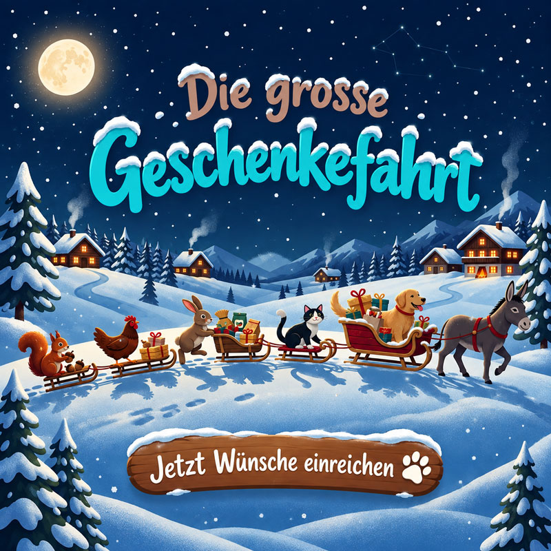 Tierschutz Weihnachtsspendenaktion