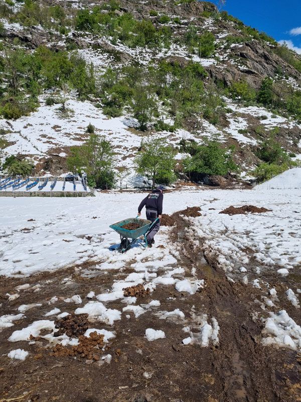 Tierschutz Helfer Einsatz