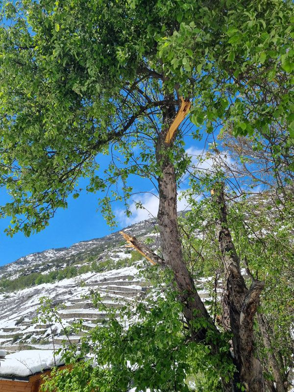 Wintereinbruch Ostern Wallis